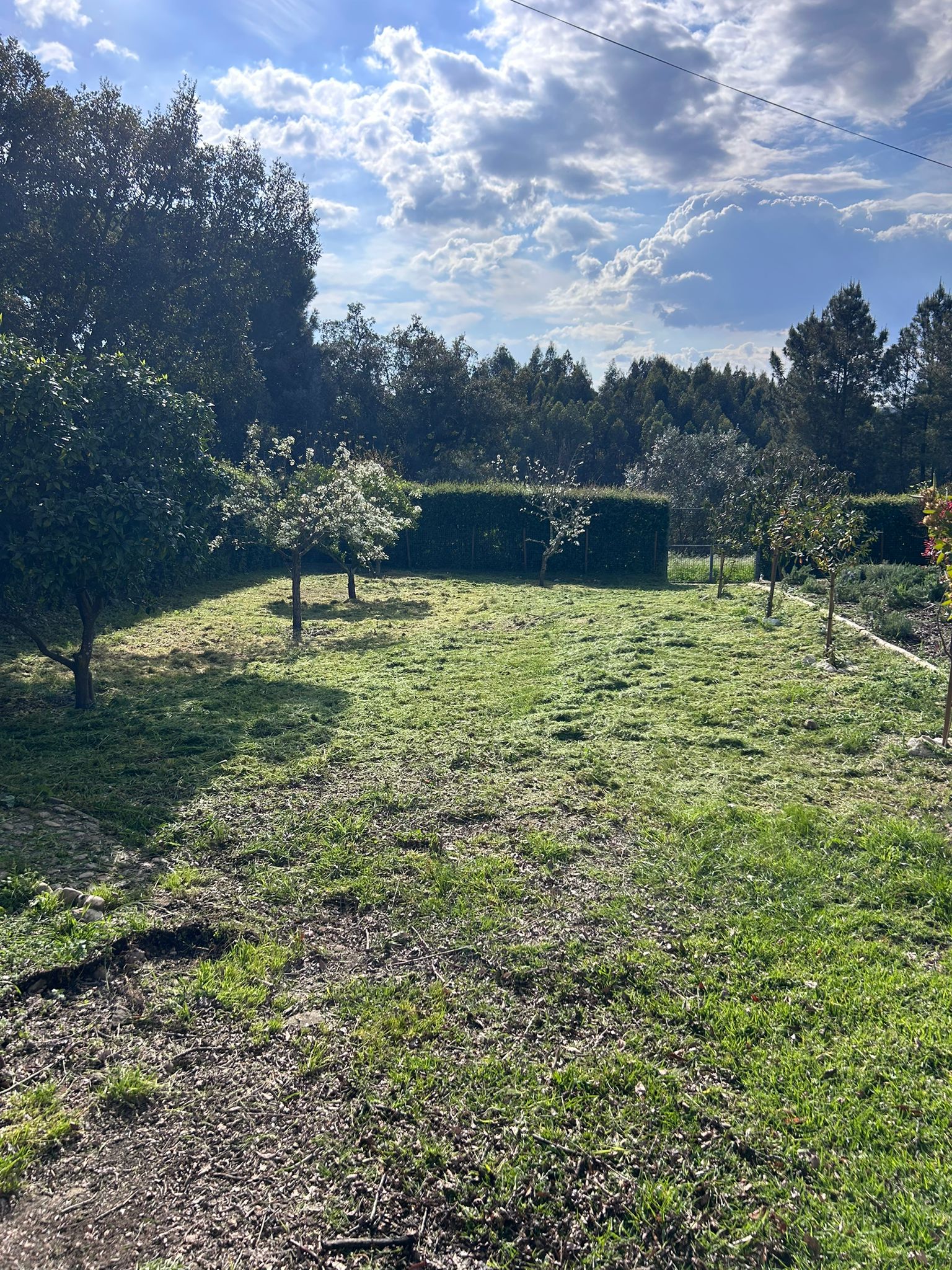 Intervenções técnicas e acesso por cordas