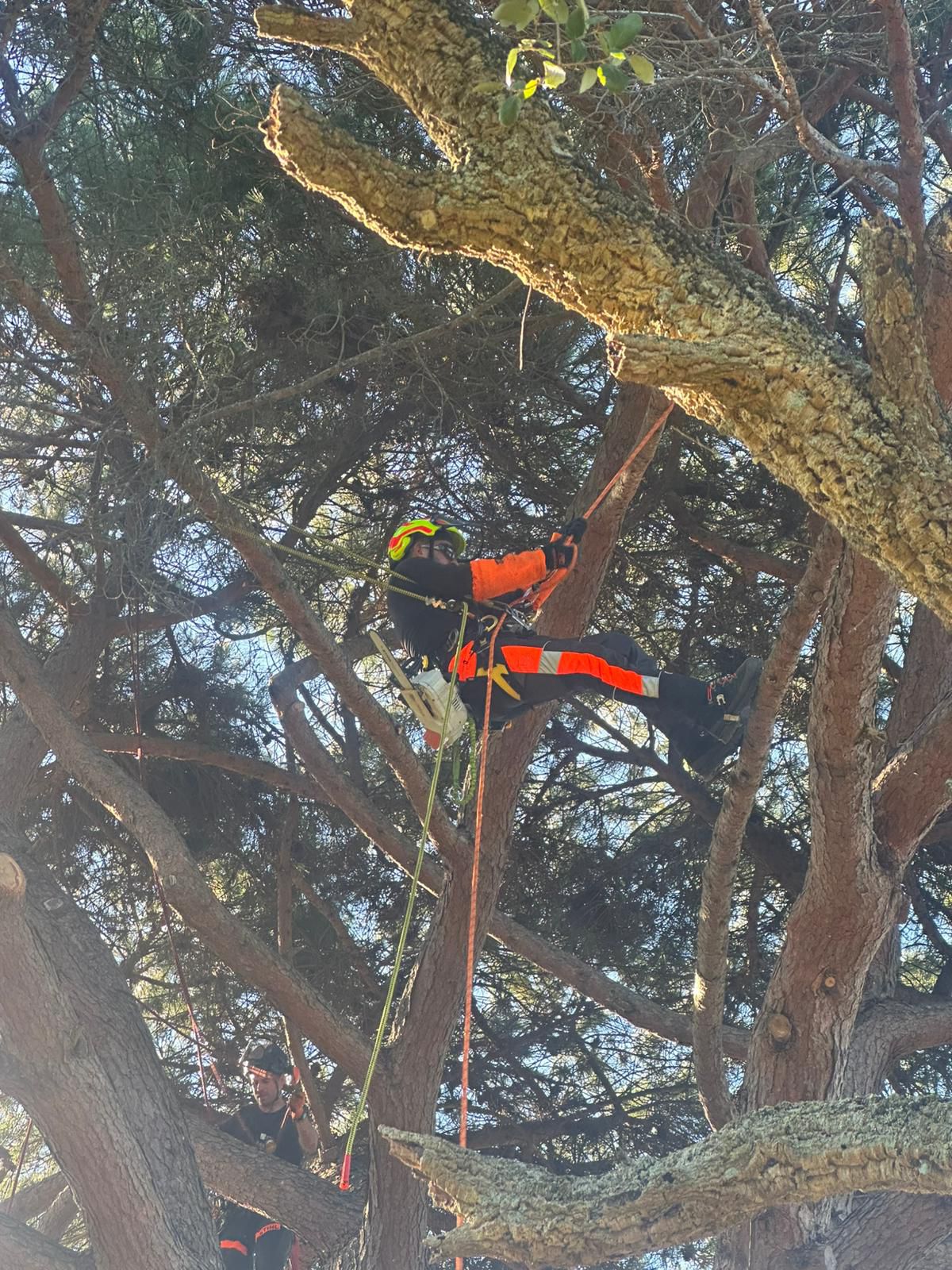 Acesso por cordas em espaços verdes