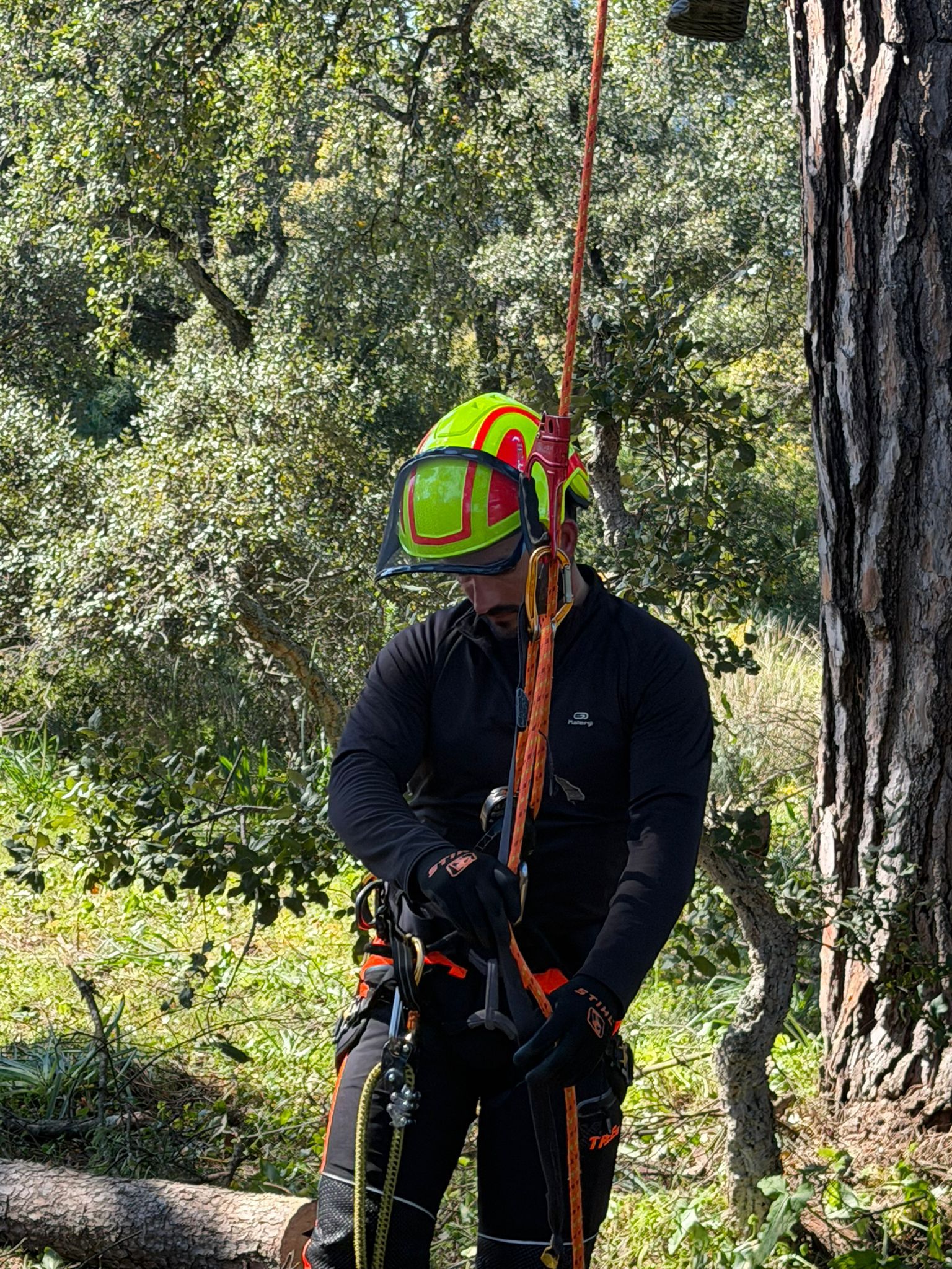 Acesso por cordas em espaços verdes
